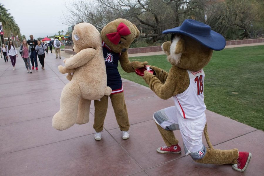 Wilbur the Wildcat gets down on one knee to present Wilma the Wildcat with a box of Valentines Day chocolates on the mall on Wednesday, Feb. 14, 2018.