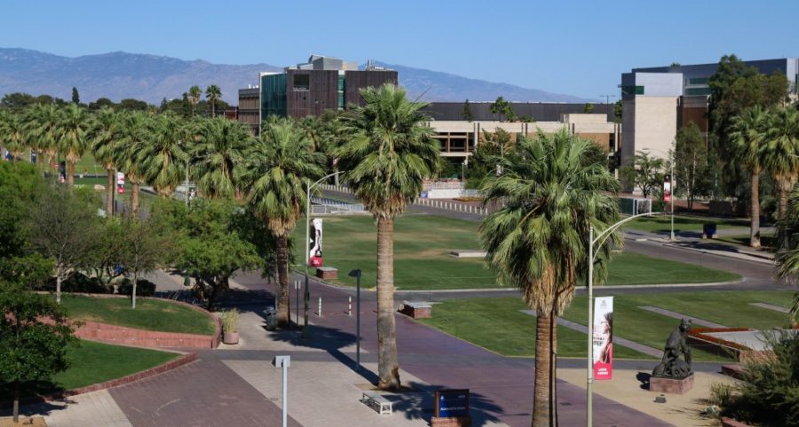 The University of Arizona Mall in Tucson, Ariz.