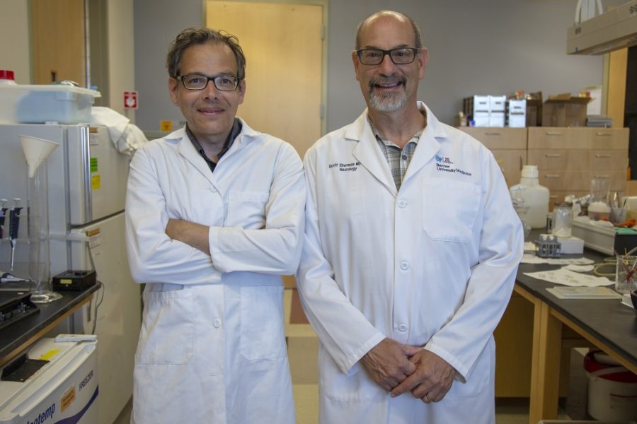 Neuroscientist Torsten Falk and neurologist Scott Sherman are teaming up to study the use of ketamine in patients with Parkinsons disease. 