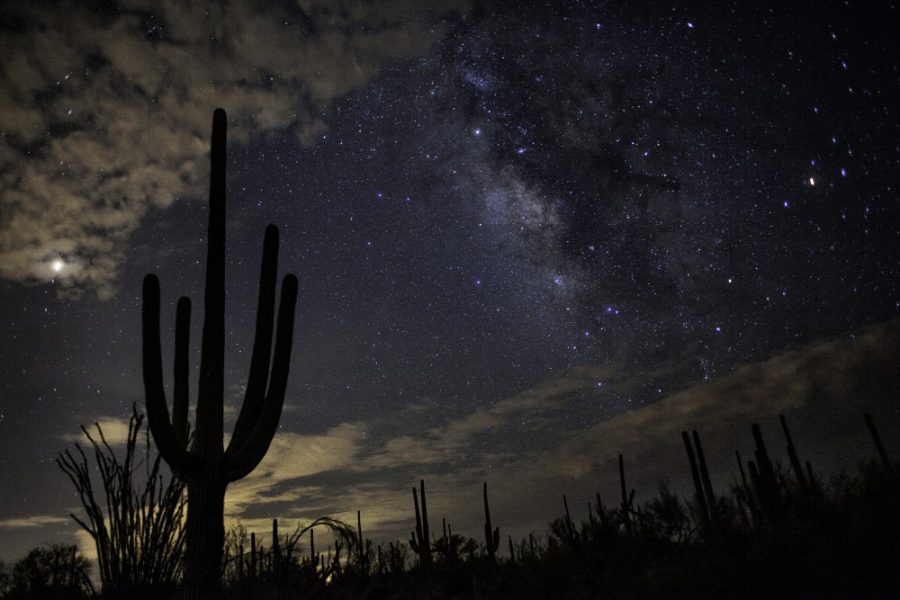 The stars of of Tucson show themselves after the monsoon passes over. 