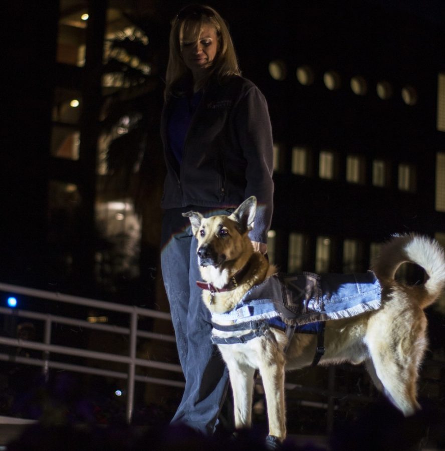 A dog donning a UA Students cape design poses with its owner on Dogs N Denim night. The event was held on November 27th, put on by the UA Fashion Minors with proceeds going to the Humane Society of Southern Arizona.
