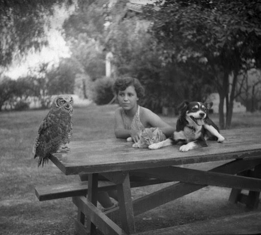 Emily Carpenter-Long, daughter of Edwin and Ethel Carpenter, sits at a picnic table with her cat, dog and owl. Emily was one of two children in the Carpenter family.