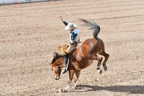 Similar to the Saddle Bronc event, the riders of the Bareback Riding have to hold on to their horse with one arm for eight seconds.
