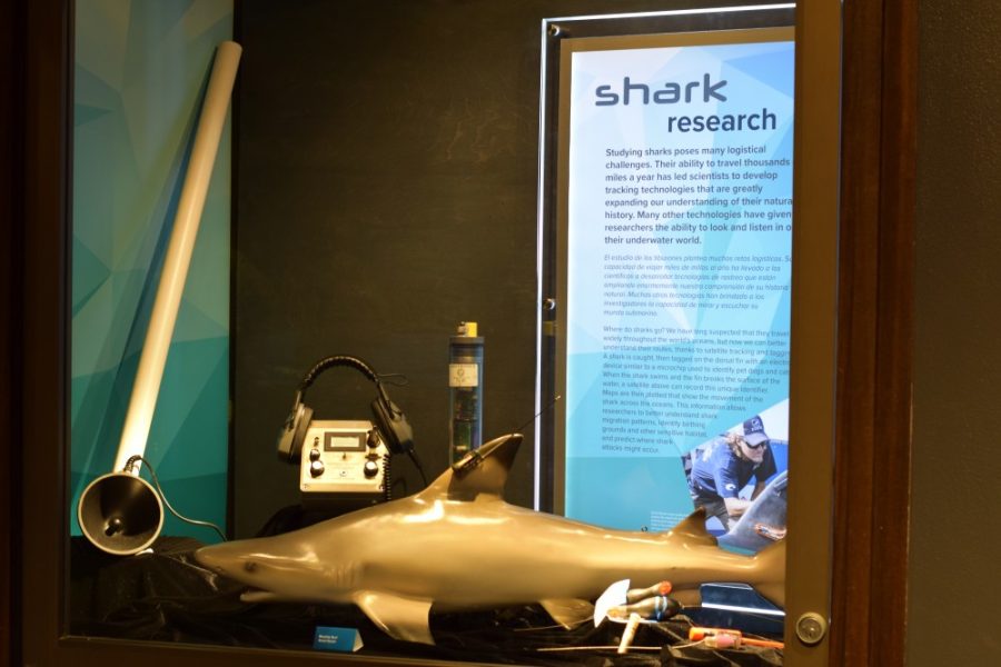 A section of the Sharks: Magnificant and Misunderstood about the techniques for researching Sharks. The exhibit is located at the Flandrau Science Center and Planetarium and opened on February 22.