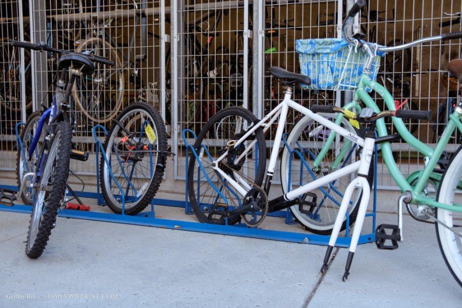 Bikes stripped of parts sit in front of Arbol de La Vida on Mar. 29 in Tucson, Ariz.