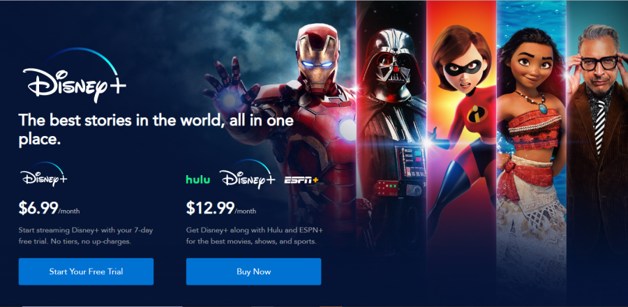 A screenshot of Disney+ website, a new streaming service that launched on Nov. 12, 2019. 