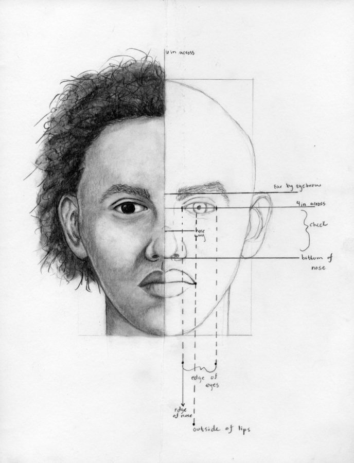 This is an example of how sketch artist are taught to break down proportions of the face. It gives them a staring point and from there they can make adjustments based off of victim/witness description.