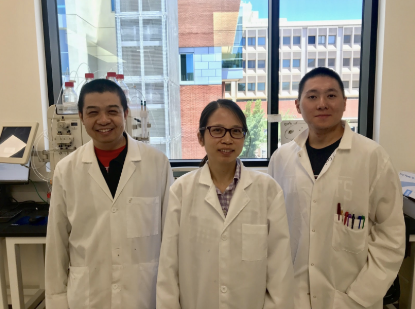 Dr. Jun Wang’s lab team, photo courtesy of Tommy Szeto: Chunlong Ma (left), Yanmei Hu (middle), Tommy Szeto (right)