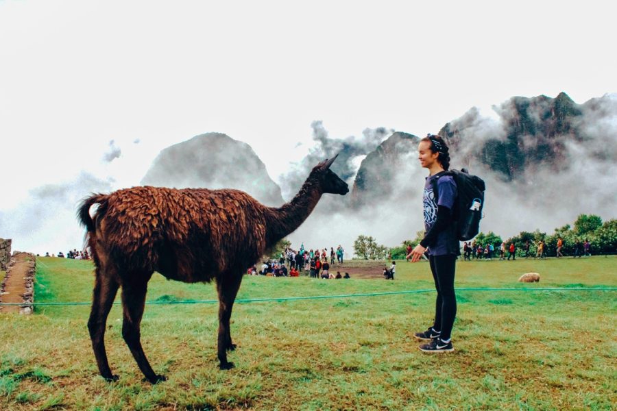 Student Emily Sophia Bateman on her summer 2019 trip to Peru, organized through the University of Arizona. Courtesy Rachel Walker