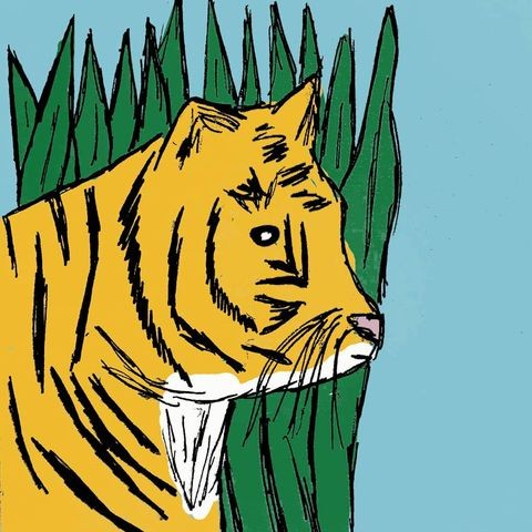 An illustration of a tiger by Tori Holder. Holder is one of the exhibitors for Tucson Zine Fest. (Courtesy Tori Holder)