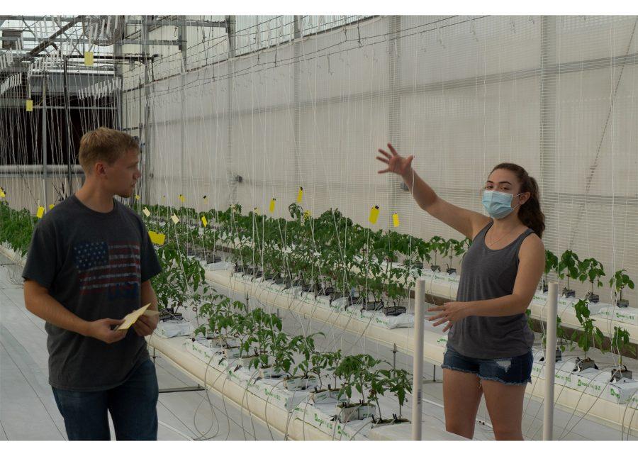 Christopher Kaufmann (left) and Katie Clontz (right) explaining greenhouse etiquette at the Controlled Environmental Agriculture Student Association meeting on Friday, Sep 24. They keep their instructions brief so that the group can start looking around the greenhouse. 