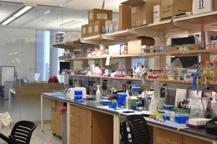Inside lab 310 at the University of Arizonas Bioscience Research Laboratories building on Sept. 23, 2021. Graduate students and lab technicians work together here on different projects.  