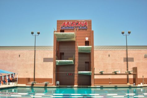 The University of Arizonas swimming and diving facility next to McKale Center hosts meets for the mens and womens swim and dive teams.