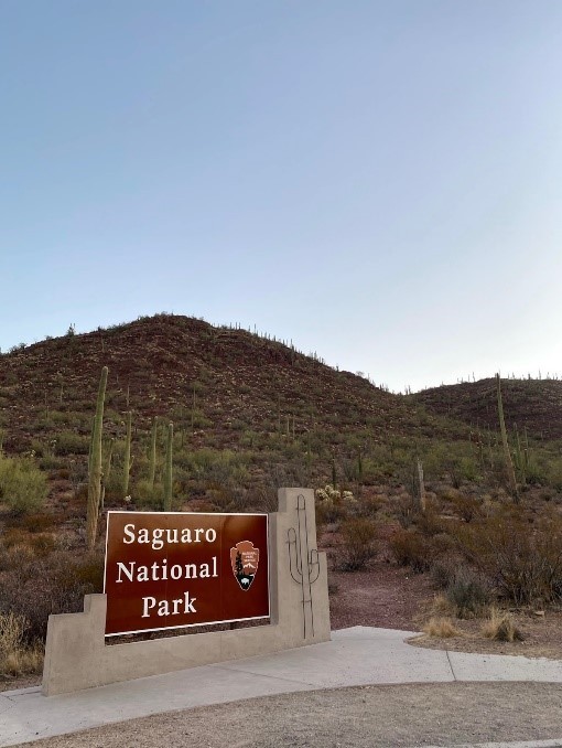 Saguaro+National+Park+entrance+sign.+%28Photo+courtesy+of+Giorgia+Menetre%29
