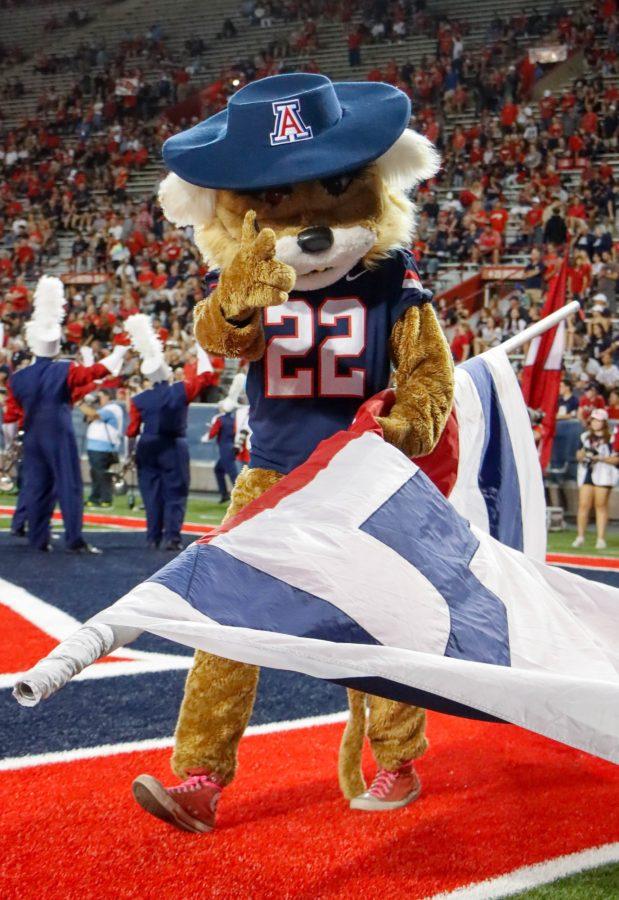 University of Arizona mascot Wilbur prepares to run the Arizona flag onto the field before a football game on Oct. 1 at Arizona Stadium. The Arizona football team would win their Pac-12 Conference game against the University of Colorado Boulder 43-20. 