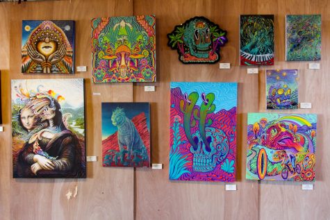 A wall of paintings inside the art gallery at the Gem and Jam Festival on Feb. 5. The art gallery was surrounded by artists creating live artworks which when finished were often hung on the walls of the gallery tent. 
