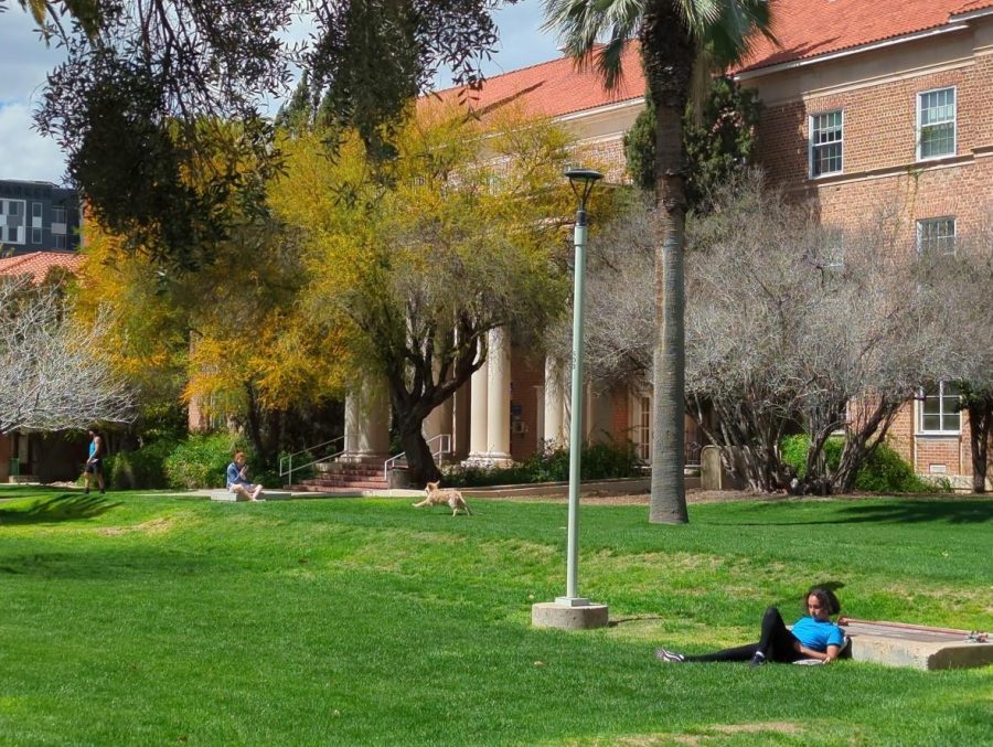 University+of+Arizona+students+soaking+in+the+sun+on+the+first+day+of+spring+on+campus+Monday%2C+March+20.+%28Photo+by+Samantha+Larned%2C+El+Inde+Arizona%29