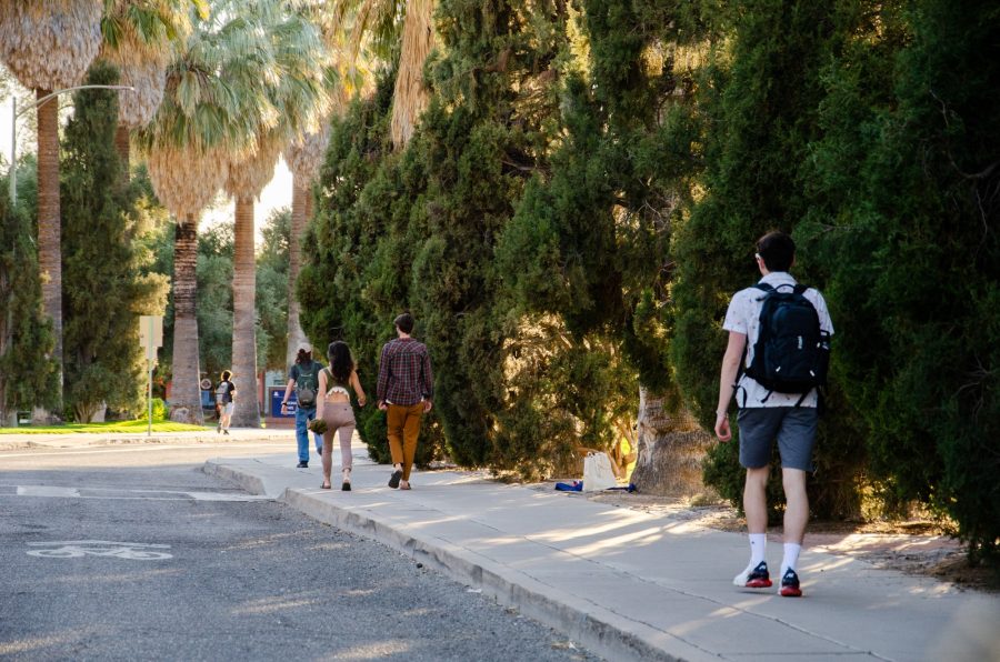 Students walk past Juniper bushes full of pollen near the Arizona State Meuseam on Campus on April 3. New research suggests that worsened allergies are linked to climate change.