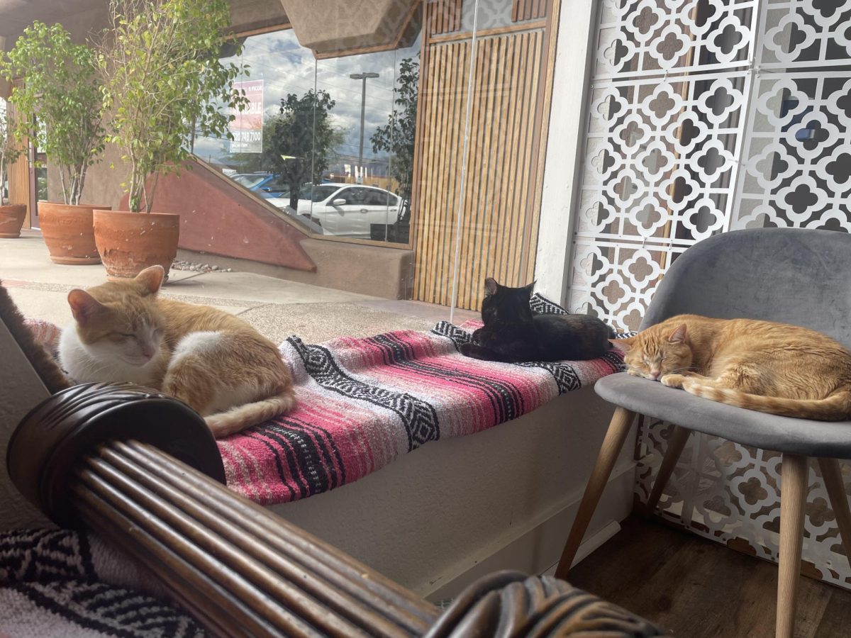A+couple+kitties+snoozing+in+a+corner+on+August+15+at+El+Jefe+Cat+Lounge.+The+cat+cafe+also+helps+visitors+to+relax.