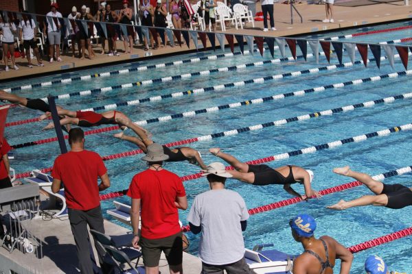 The womens swim team performs the 100 Freestyle on Nov. 4 at Hillenbrand Aquatic Center. The swim and dive meet was against UCLA.
