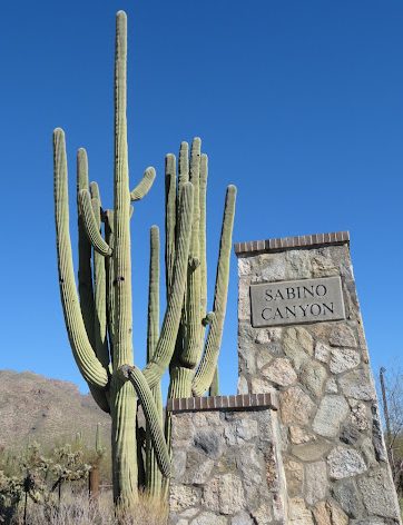 The entrance of Sabino Canyon. Trails at Sabino Canyon have beautiful views of the desert many know and love in Tucson. 
