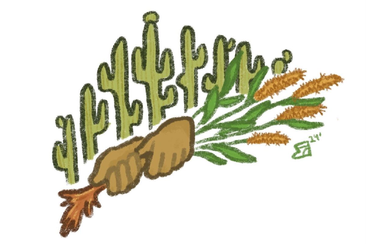 Saguaro illustration. 