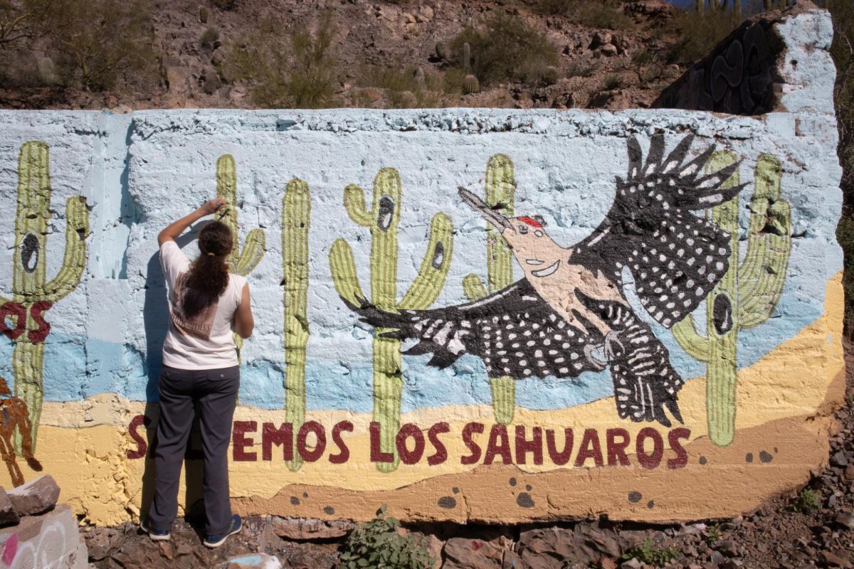 A volunteer paints part of the Save Our Saguaros mural at Sentinel Peak on March 3. The mural was split into two parts, with this being the upper part.