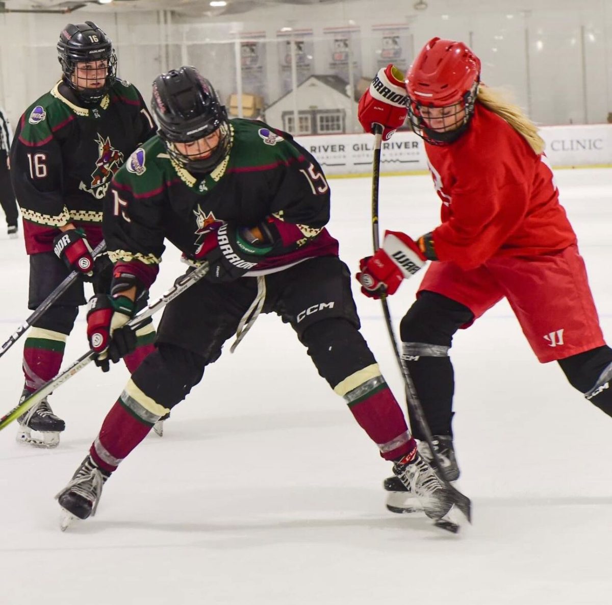 Leila Schultz a player on the Arizona women's hockey team go after a puck in practice in the Tucson Convention Center. Arizona Women's Hockey Starts on Sept. 26 in the TCC at 8:30. 