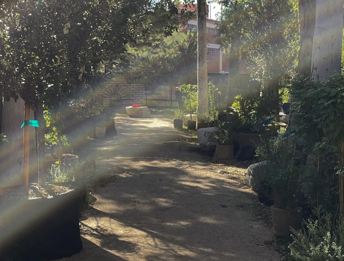 The Cuk Ṣon Audiorama is located outside the east-facing wall of Centennial Hall on the University of Arizona campus. The front entrance features sounds of birds chirping with tall trees and greenery all around.