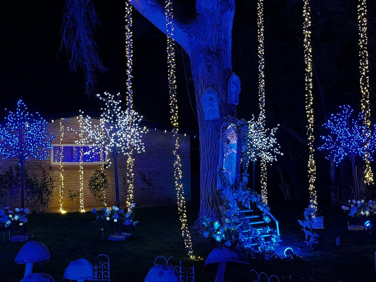 A tree is decorated to appear as a fairy home complete with steps and a doorway for Winterhaven's Festival of Lights. This is the diamond anniversary of the event.