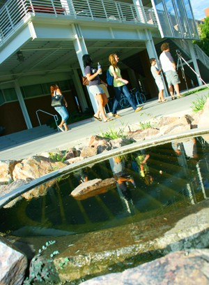 Students walk past a puddle of stagnant water on Monday located by the Park Student Union. Puddles like these provide the perfect breeding ground for mosquito activity.
