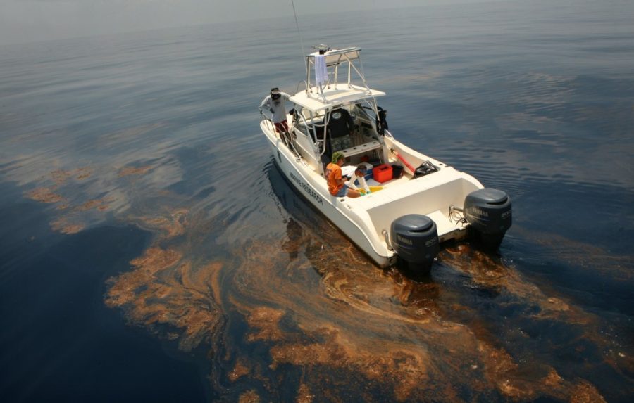 A team of sea turtle experts work to recover oiled and endangered turtles in the Gulf of Mexico, near the site of the Deepwater Horizon oil spill on Monday, June 14, 2010. Oil collects in areas of sargassum, a type of seaweed, where immature turtles and many other organisms live.