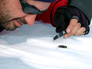 Associate professor Dante Lauretta, a member of the Antarctic Search for Meteorites program, inspects a possible meteorite buried in the ice. Faith Vilas, an astronomer and director of the multiple mirror telescope observatory, and her team found more than 300 meteorites in their eight-week expedition to Antarctica.