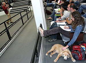 While regents professor of classics David Soren, left, delivers a lecture about ancient Rome, his dog Angel takes a load off beside a few of the students. Some students and professors have been making a habit of bringing their pets to classes.