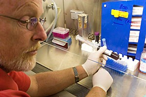 Immunology professor David T. Harris, displays a cord blood syringe under a sterile tissue culture hood. Harris has recently coordinated the cord blood stem cells used in a study for curing aplastic anemia.