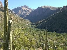 Sabino Canyon offers beautiful vistas and trails for hikers of all ages and abilities.