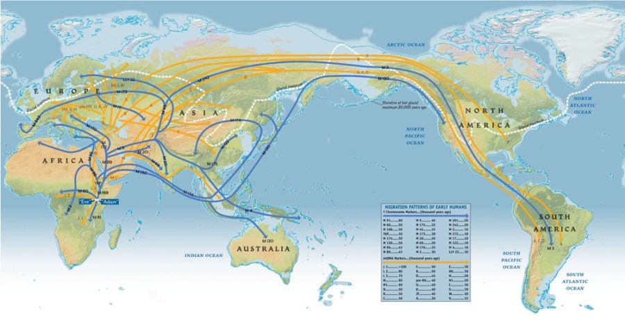 PHOTOS ARE FOR YOUR ONE-TIME USE ONLY AS A TIE-IN 
WITH THE GENOGRAPHIC PROJECT.  NO SALES.  NO TRANSFERS. NO ARCHIVES.

Credit:  National Geographic Maps 

Map of early human migration patterns. The Genographic Project, a global, five-year research initiative launched by National Geographic and IBM, will trace the migratory history of the human species.
