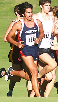 UA junior Lou Maturo runs at the Dave Murray Invitational last year at Dell Urich Golf Course. The Wildcats will host the event again Saturday, representing the mens and womens squads only home meet of the year.