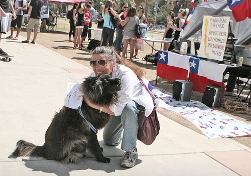 Valentina Martinelli/ Arizona Daily Wildcat

Edee Burke, a graduate of special education and her dog Tatunka participate in the fundraiser raising money for victims of the earthquake in Chile by putting a sign on Tatunka that says Pet the Puppy for Chile on the UA Mall on March 25, 2010.

