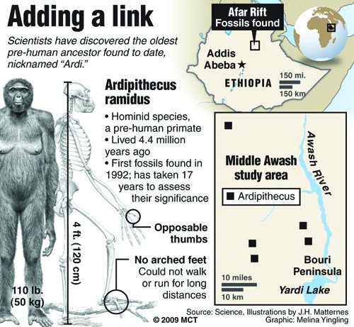 Map locates the Afar Rift in Ethiopia where scientists discovered the oldest prehuman ancestor to date; includes an illustration of the skeleton. MCT 2009<p>

With PREHUMAN, McClatchy Washington Bureau by Robert S. Boyd<p>

08000000; 13000000; HUM; krtcampus campus; krtfeatures features; krthumaninterest human interest; krtnews; krtscience science; krtscitech; krtworld world; SCI; TEC; krtedonly; yingling; 01001000; ACE; archaelogy; krtculture culture; addis abeba; afar rift; ancestor; ape; ardi; ardipithecus ramidus; boyd; fossil; hominid; homo sapiens; human; lucy; map; prehuman; pre-human; primate; remains; species; 2009; krt2009; mctgraphic; ODD; 13006000; 13009000; krtresearch research; science research; krtworldnews; krtdiversity diversity; youth; krtafrica africa; ETH; ethiopia; krt mct; wa