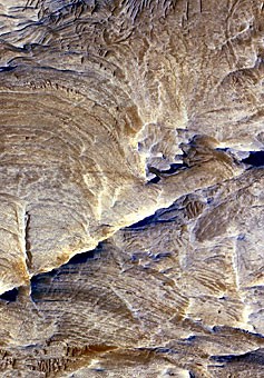 Tectonic fractures within the Candor Chasma region of Valles Marineris, Mars, retain ridge-like shapes as the surrounding bedrock erodes away. This points to past episodes of fluid alteration along the fractures and reveals clues into past fluid flow and geochemical conditions below the surface. The High Resolution Imaging Science Experiment camera on NASAs Mars Reconnaissance Orbiter took this image on Dec. 2, 2006. The image is approximately 1 kilometer (0.6 mile) across. Illumination from the upper left.