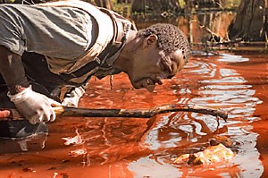 In The Reaping, Ben (Idris Elba), a scientist who specializes in miracles and myths, stares into a river of blood. The film focuses on a Louisiana town that seems to be experiencing Biblical plagues.  