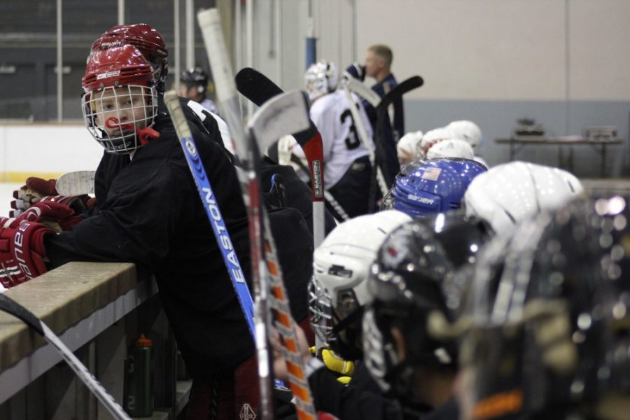 Kyle Wasson/Arizona Daily Wildcat

The UA hockey team held a preseason camp last week and will have upcoming tryouts.