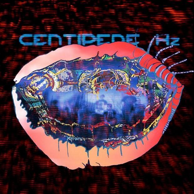 Animal Collective is still for the fans on Centipede Hz