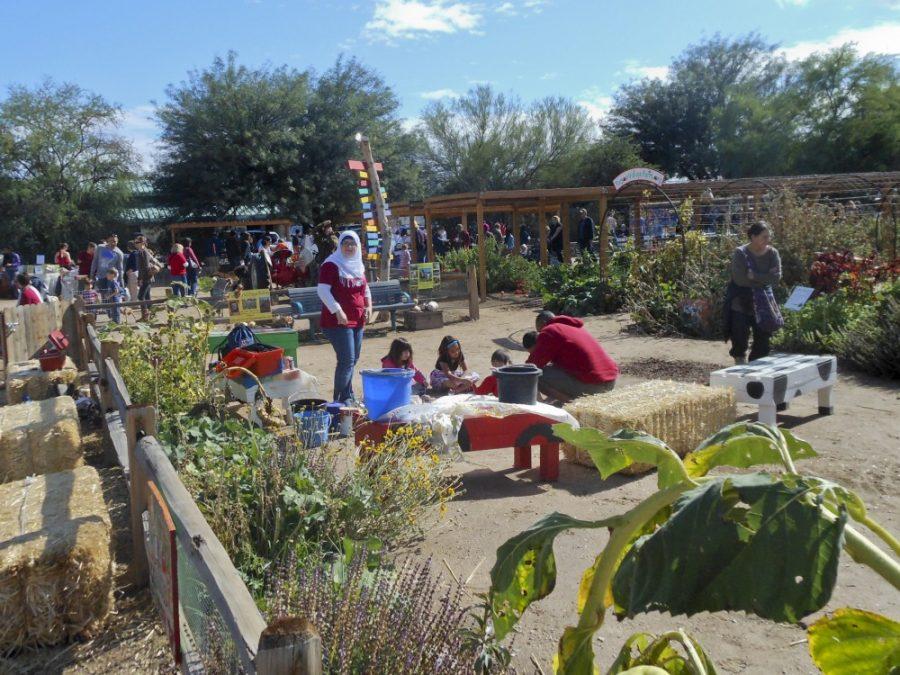 David Weissman / Arizona Daily Wildcat

UA students from the Eller College of Management take part with the Tucson Village Farm to promote the Harvest Festival.