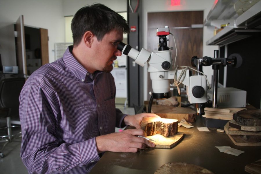 Kevin Brost / Arizona Daily Wildcat

Green Fund committee chairman and doctoral candidate Jesse Minor examines a tree ring sample that came from Southern Arizonas Chiricahua Mountains. The sample pictured grew from 1796-1978 before dying, and shows signs 16 fire scars earned from brush fires it encountered throughout its growth.