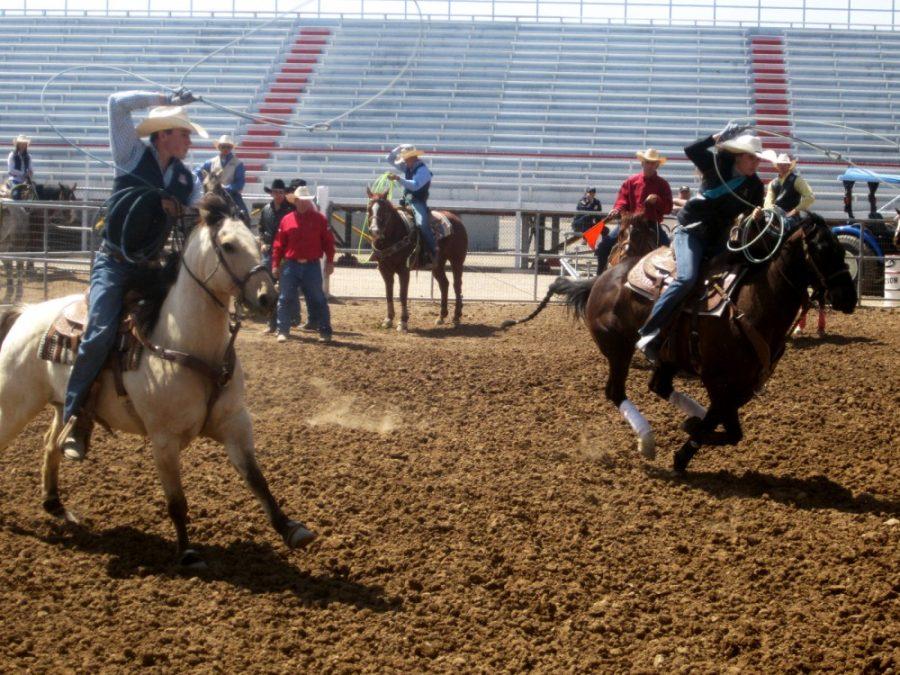 Nicole Thill/The Daily Wildcat

Jason Green (left) and Carollann Scott (right) team rope together in the UA Rodeo Days team roping on March 23, 2013.                             