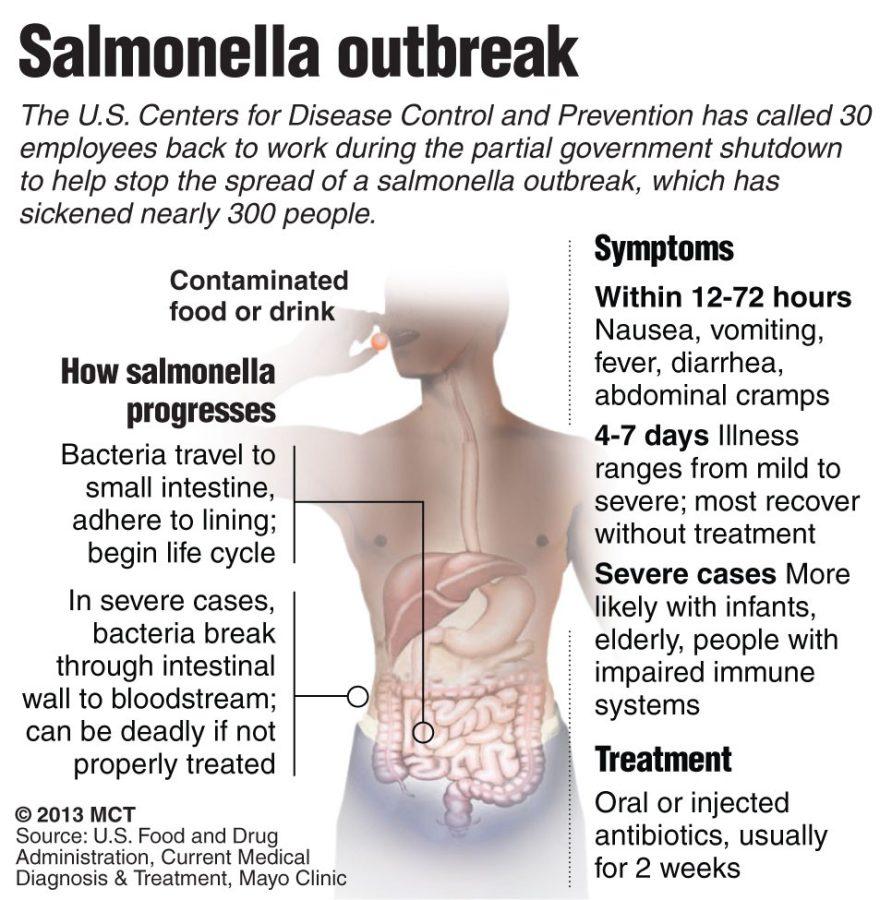 Graphic explains how salmonella bacteria affect the body and summarizes symptoms of an infection. MCT 2013

With BC-CALIF-SALMONELLA:LA, Los Angeles Times by David Pierson and Tiffany Hsu