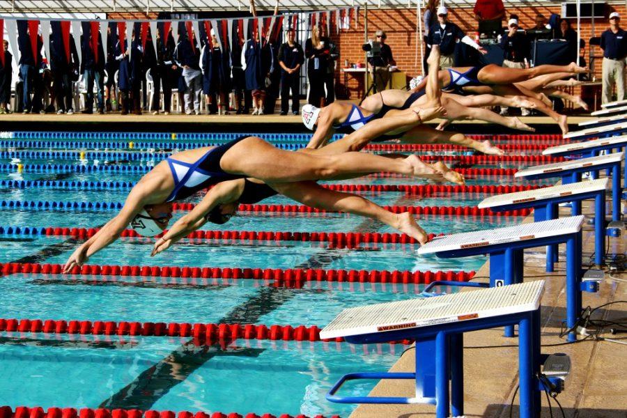 Mark Armao/ The Daily Wildcat

The UA womens diving team competed at the dual meet vs. Texas on Feb. 1. 