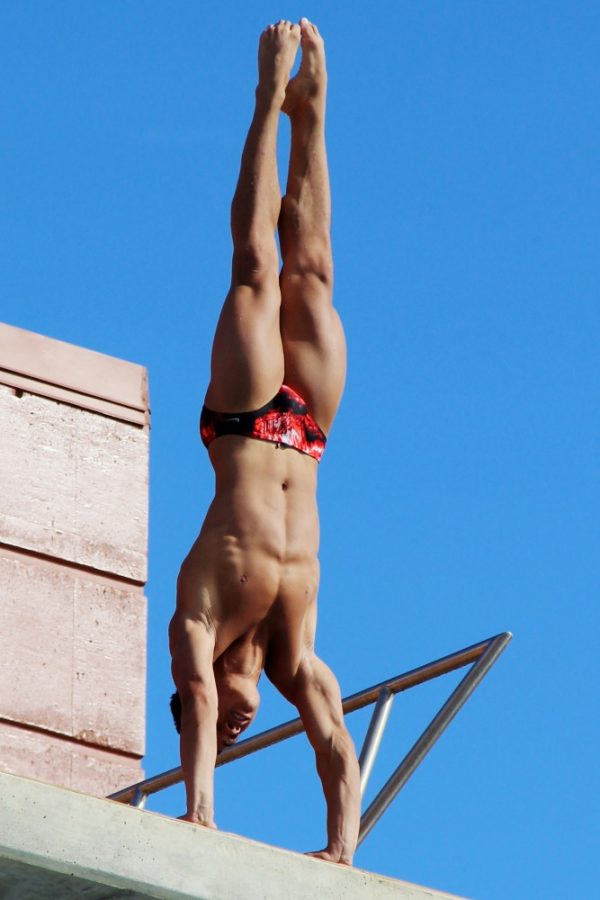 	Rafael Quintero, sophomore, dives during Arizona’s swim meet against Texas on Saturday. Earlier this week Quintero was named Pac-12 Diver of the Month for the month of January.